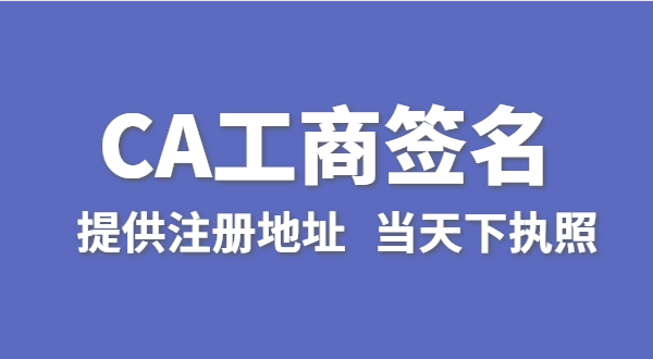 注册公司怎么使用CA数字证书进行签名（工商电子签名怎么操作）