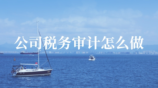公司税务审计怎么做