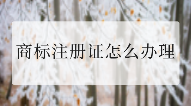 商标注册证在哪里办(商标注册证办理流程)