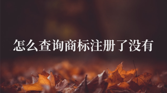 怎么查询商标注册了没(怎么查商标注册了没有)
