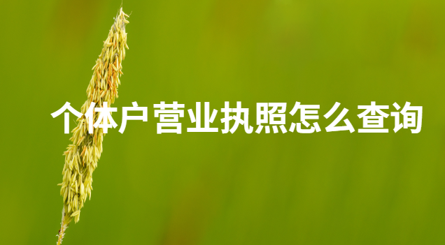 个体户营业执照怎么查询