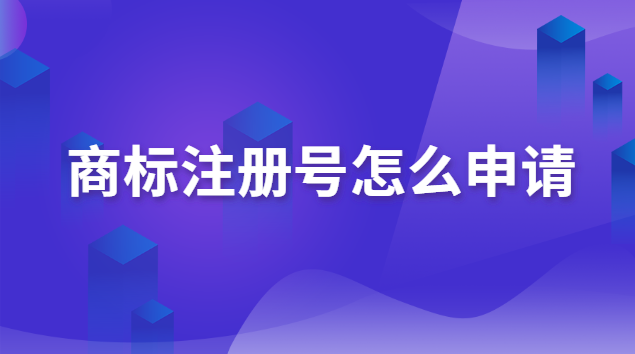 商标的申请注册号是什么(装修公司商标注册申请)