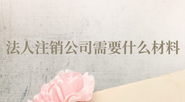 法人注销公司需要什么材料
