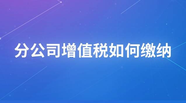 分公司增值税如何缴纳
