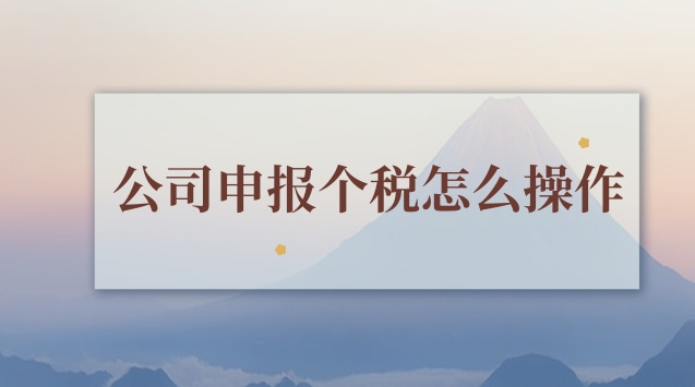 公司申报个税怎么操作