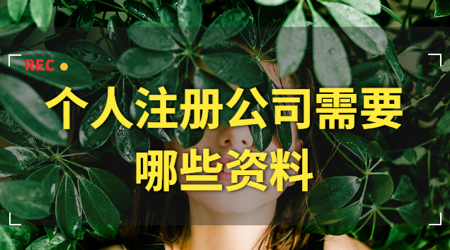 个人注册公司需要哪些资料