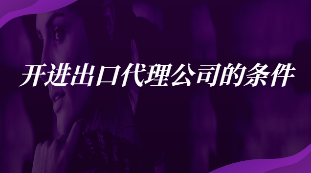 开进出口代理公司的条件