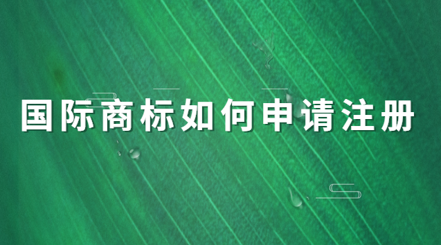 食品商标注册申请流程(成都商标专利注册申请)