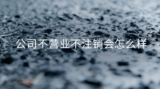 公司不营业不注销会怎么样