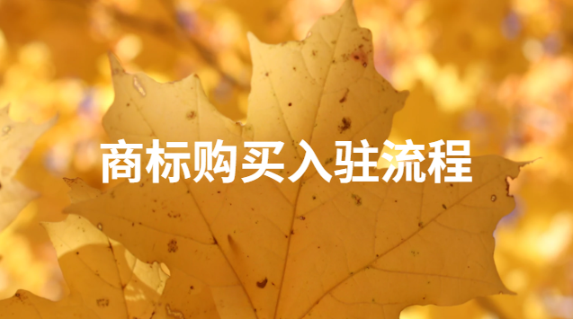 商标购买入驻流程