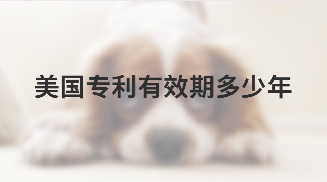 美国专利有效期多少年 美国专利年限多长时间