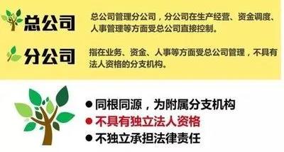 注册子公司好还是分公司好，子公司和分公司有什么区别？